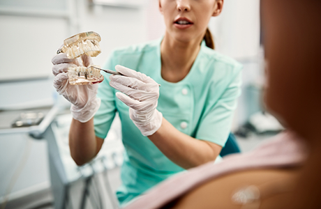 Dentist showing a patient a model of a mouth with dental implants