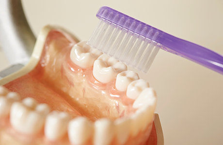 Toothbrush cleaning a denture