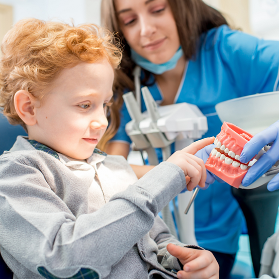 Dentist showing a model of the teeth to a young boy in the dental chair