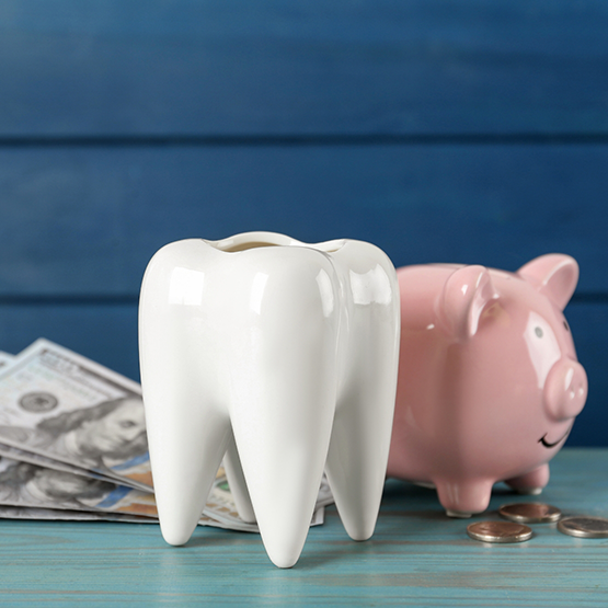 Model of a tooth next to a piggy bank on a desk with coins and hundred dollar bills